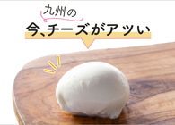 チーズ好きに、今「九州のチーズ」がアツいことを知ってほしい【沼人おすすめの九州産チーズ情報も】