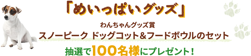 「めいっぱいグッズ」わんちゃんグッズ賞 スノーピーク ドッグコットとフードボウルセット 抽選で100名様ご招待!